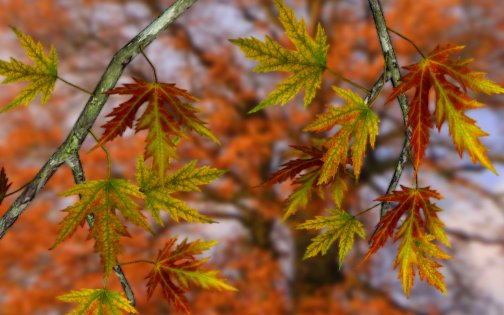 Autumn Leaves in HD Gyro 3D 1.4. Скриншот 1