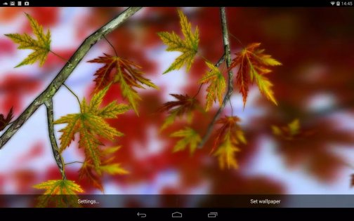 Autumn Leaves in HD Gyro 3D 1.4. Скриншот 2