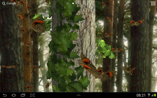 Бабочки 3D 4.5.0. Скриншот 11