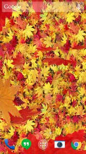 Осенние листья 3D 4.1.0.1. Скриншот 3