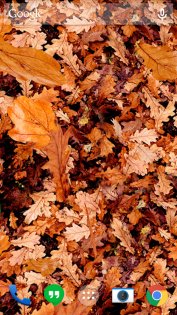 Осенние листья 3D 4.1.0.1. Скриншот 5