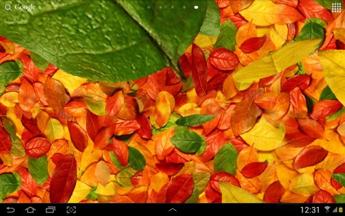 Осенние листья 3D 4.1.0.1. Скриншот 6