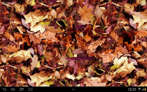 Осенние листья 3D 4.1.0.1. Скриншот 7
