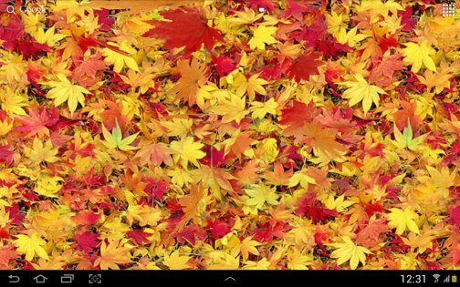 Осенние листья 3D 4.1.0.1. Скриншот 8