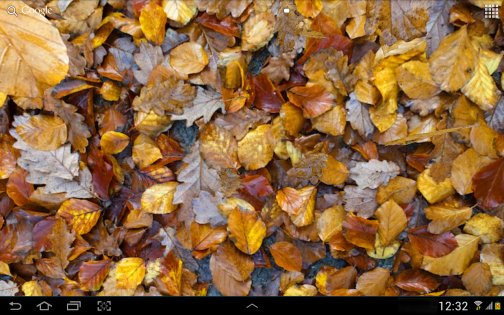 Осенние листья 3D 4.1.0.1. Скриншот 9