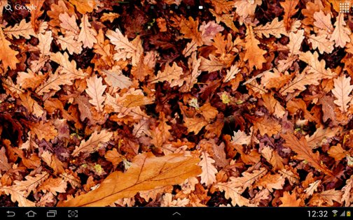 Осенние листья 3D 4.1.0.1. Скриншот 10
