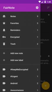 FairNote 4.7.6. Скриншот 4