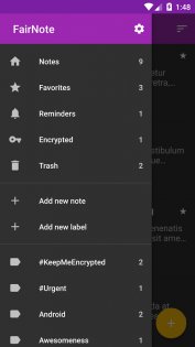 FairNote 4.8.5. Скриншот 4