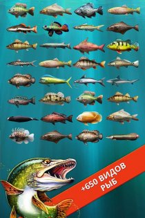Let's Fish: Sport Fishing 6.5.3. Скриншот 9