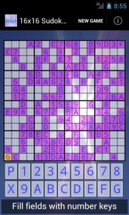 16x16 Sudoku Challenge 3.16. Скриншот 1