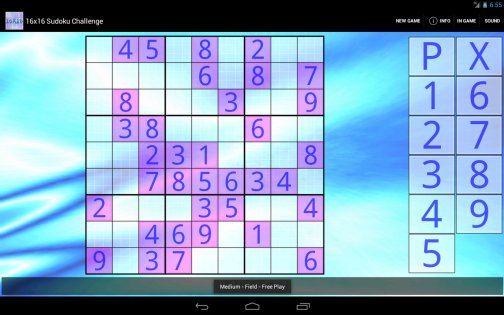 16x16 Sudoku Challenge 3.16. Скриншот 6