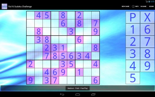 16x16 Sudoku Challenge 3.17. Скриншот 6