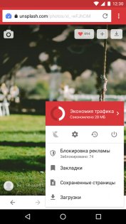 Opera Mini 90.1.2254.77167. Скриншот 3
