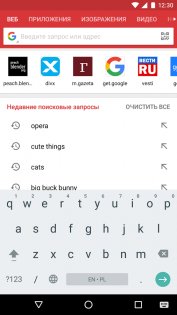 Opera Mini 90.1.2254.77167. Скриншот 6