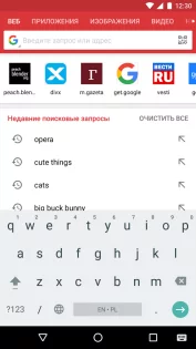 Opera Mini 91.0.2254.77465. Скриншот 6