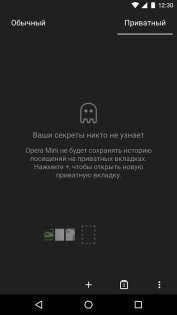 Opera Mini 90.1.2254.77167. Скриншот 8