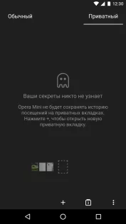 Opera Mini 91.0.2254.77465. Скриншот 8