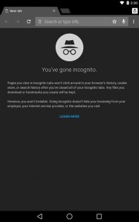 Chrome Beta 138.0.7204.35. Скриншот 11