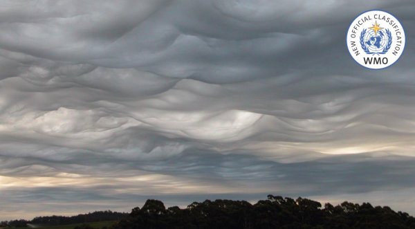 Видео: новый тип облаков — невероятное зрелище