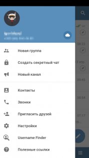 Vidogram 3.1.9. Скриншот 3