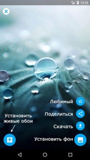 Одуванчик живые обои 2.0.9. Скриншот 3