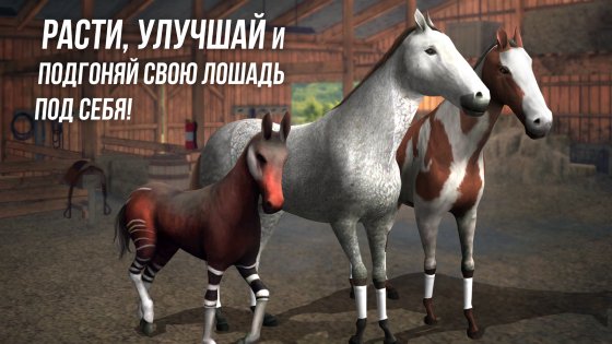 Photo Finish Horse Racing 100.2. Скриншот 5