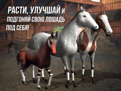 Photo Finish Horse Racing 100.2. Скриншот 11