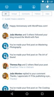 WordPress 25.9. Скриншот 4