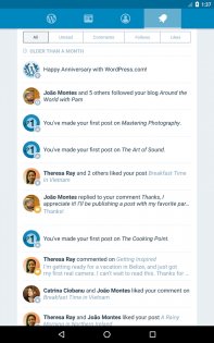 WordPress 25.9. Скриншот 16