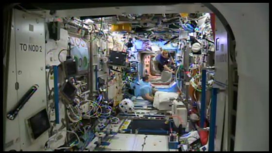 траектория мкс в реальном времени приложение. iss live now android 19. траектория мкс в реальном времени приложение фото. траектория мкс в реальном времени приложение-iss live now android 19. картинка траектория мкс в реальном времени приложение. картинка iss live now android 19.