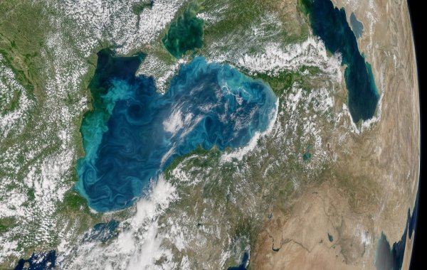 Черное море стало бирюзовым