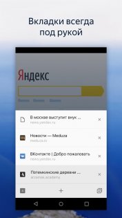 Яндекс Браузер Лайт 24.1.1.23. Скриншот 5
