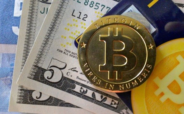 В садиках Нью-Йорка начали принимать биткоин за обучение