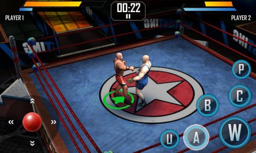 Real Wrestling 1.10. Скриншот 1