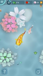 Zen Koi Classic 1.14.3. Скриншот 6