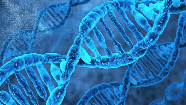 Ученые записали фильм в ДНК