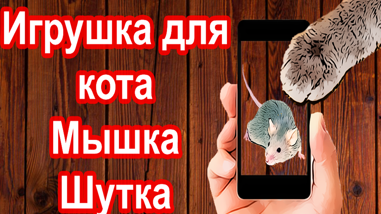 Программа для кошек android