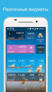 Accupedo 9.3.3. Скриншот 4