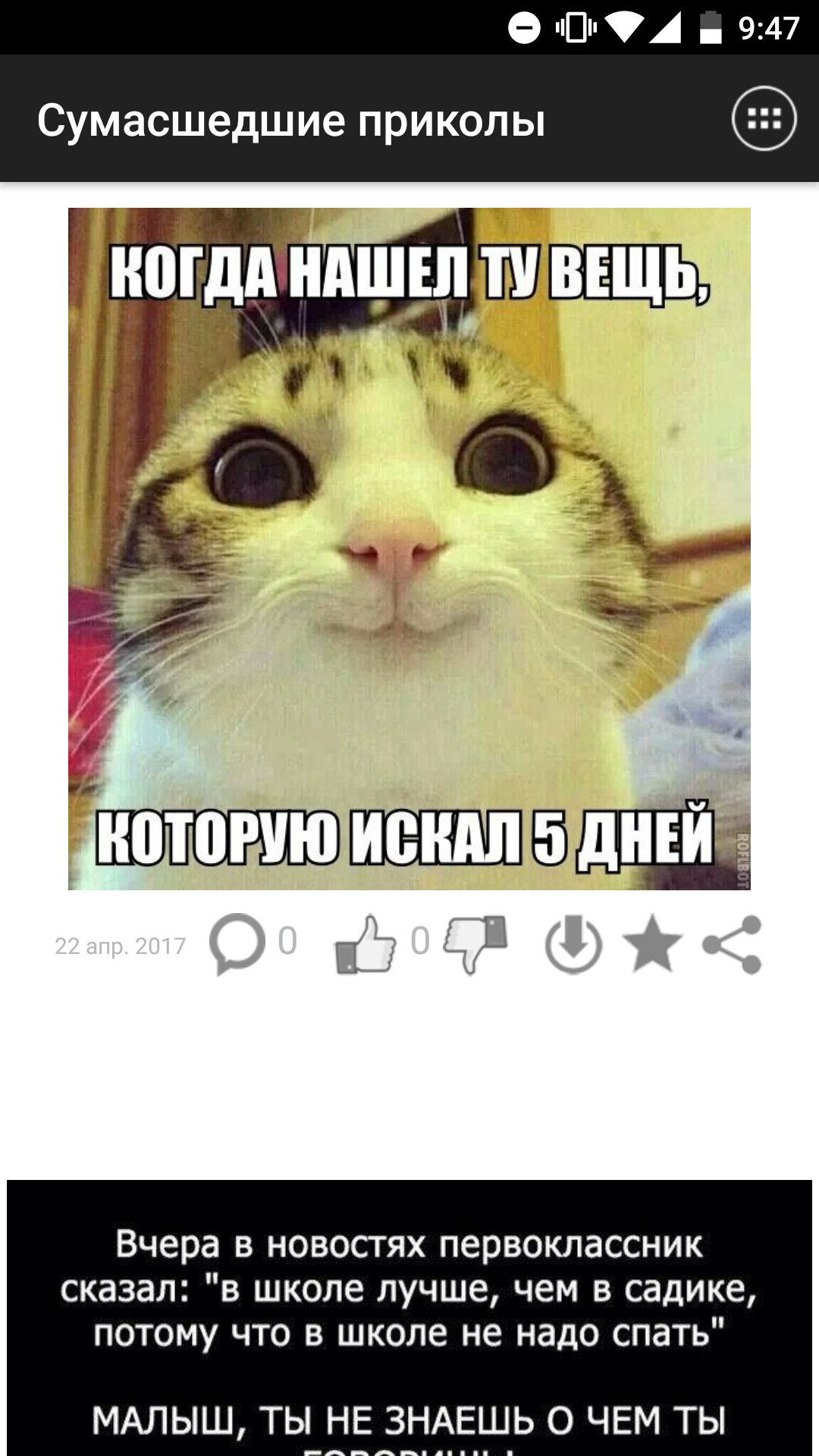 картинки приколы и фото онлайн картинки приколы и фото