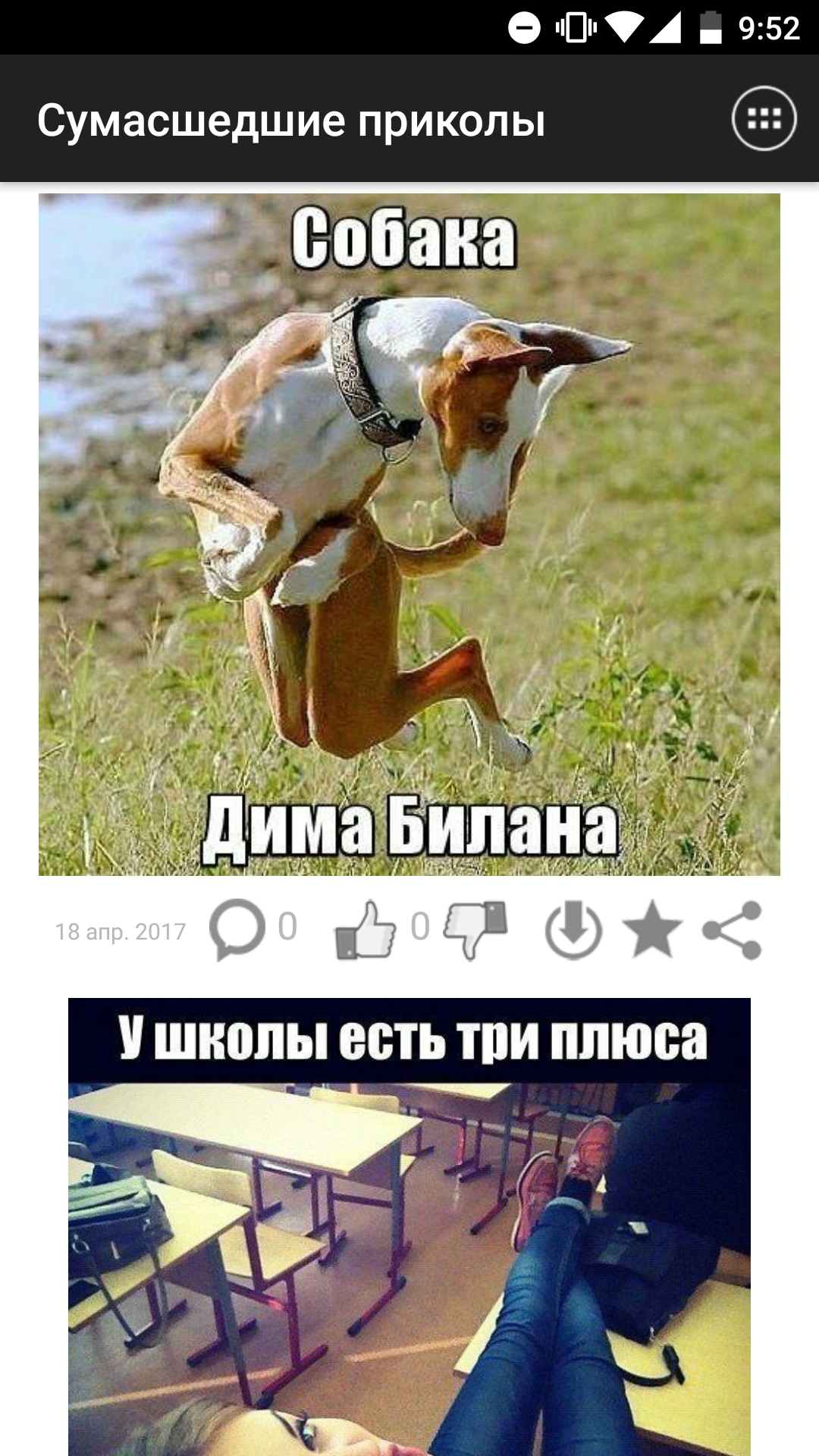 картинки приколы и фото онлайн картинки приколы и фото