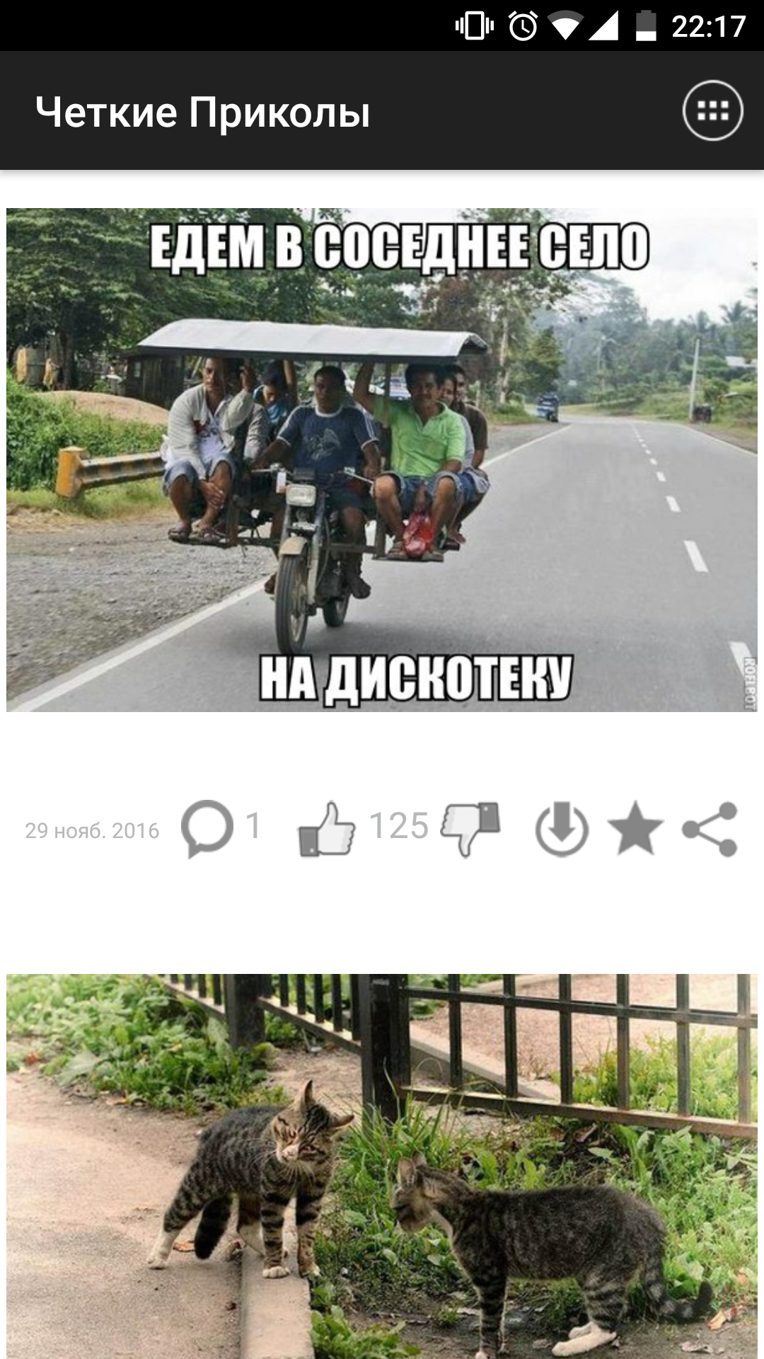 картинки приколы и фото онлайн картинки приколы и фото