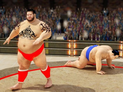 Sumo wrestling Revolution 2017: Pro Stars Fighting 2.8. Скриншот 5