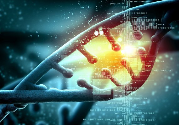 Что такое CRISPR — технология, которая изменит мир
