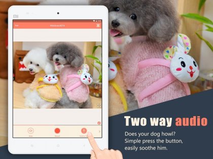 AtHome Camera 5.6.2. Скриншот 11