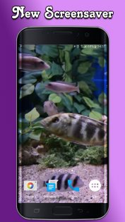 Aquarium Video Wallpaper 3.0. Скриншот 3
