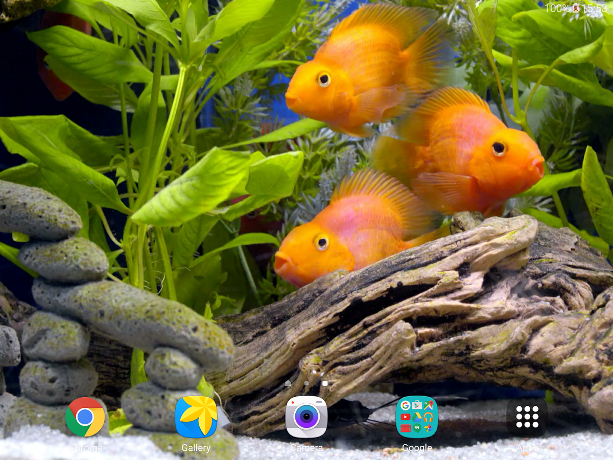 Скачать Aquarium 4K Live Wallpaper 3.0 для Android