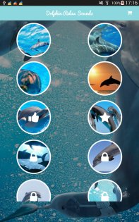 Relaxing Dolphin Sounds 2.0. Скриншот 1