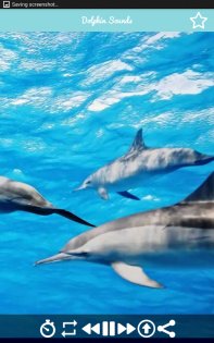Relaxing Dolphin Sounds 2.0. Скриншот 2