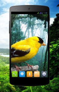3D птицы параллакс живые обои 2.1.0. Скриншот 7
