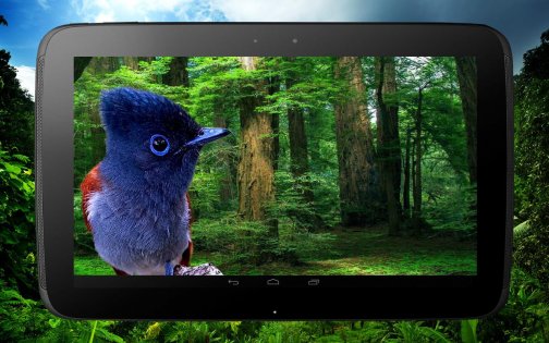 3D птицы параллакс живые обои 2.1.0. Скриншот 12